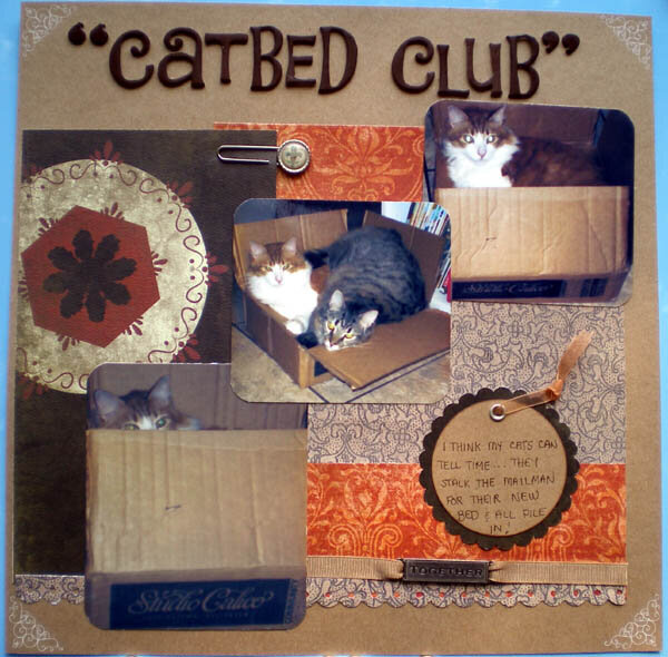 Catbed Club