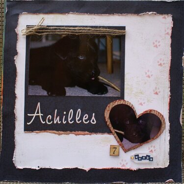 Achilles 7 weeks