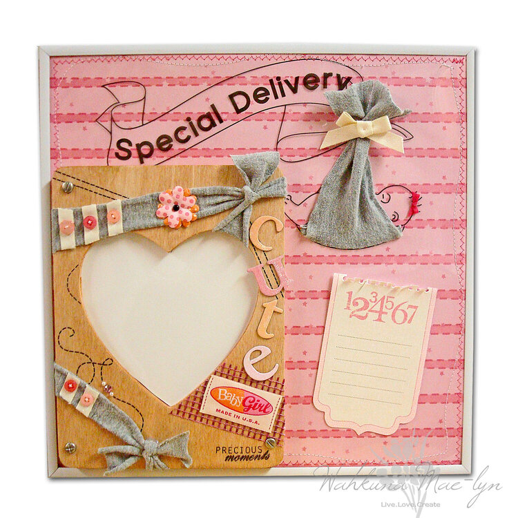 Special Delivery- Baby Girl Frame
