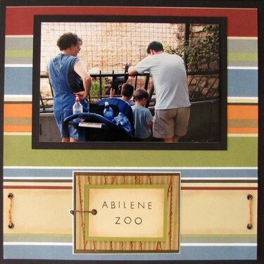 9x9 album:  Abilene Zoo (2003)