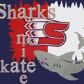 Sharks Jr. Mite Skate