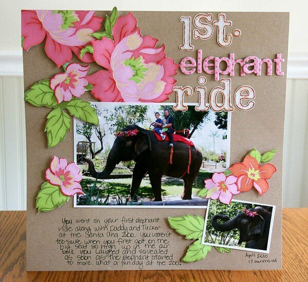 1st. Elephant Ride