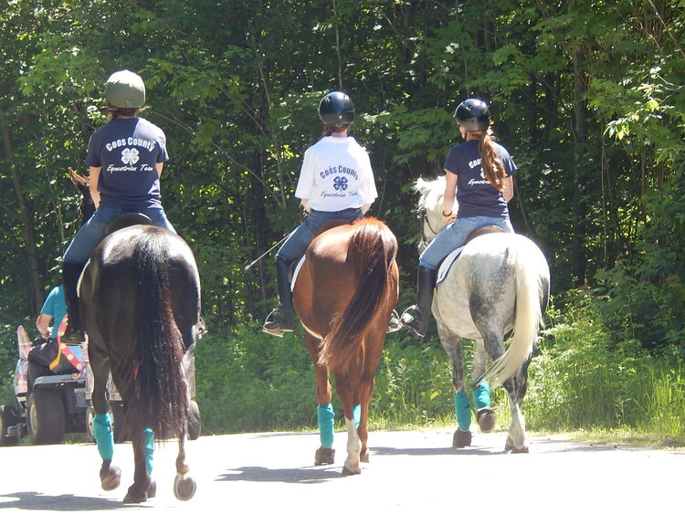 Stratford Ole Home Day Parade