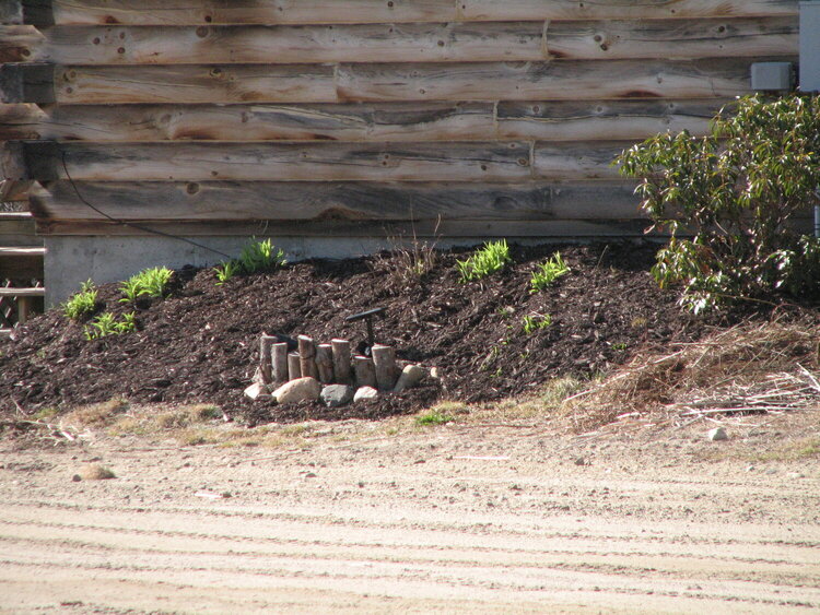 Perennial Bed Cabin 2