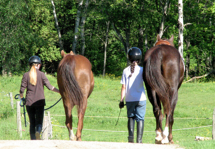 HANNAH AND AMY WITH  SMARTY AND COCOA