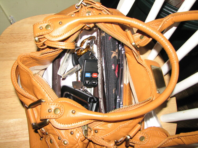 March 4 Photo-a-Day mini chall. What&#039;s in your purse