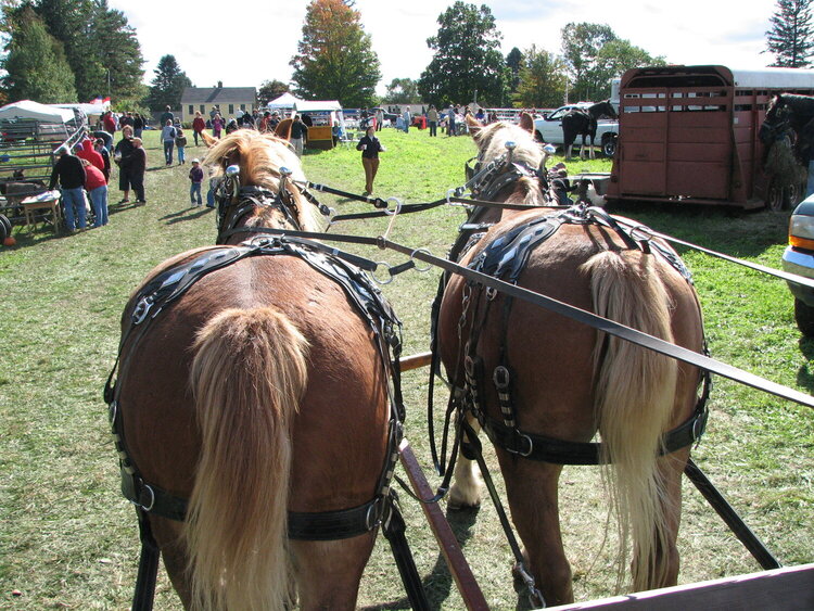Waters Farm Days pic#4