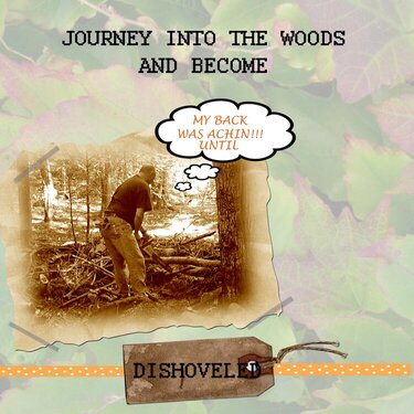 Journey into the Woods...