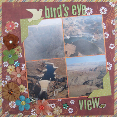 Bird&#039;s Eye View