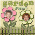 Garden of my heart