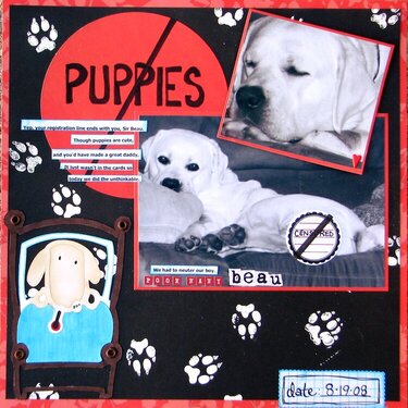 No Puppies