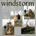 windstorm 1/4/08