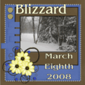 Blizzard 2008