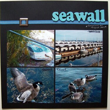 Seawall