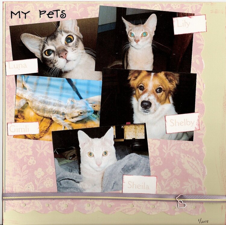 Album 2008-My Pets