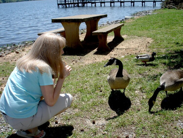 &quot;FEEDING MY FRIENDS&quot;