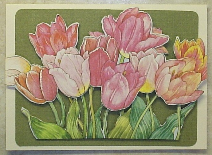 tulips and tulips