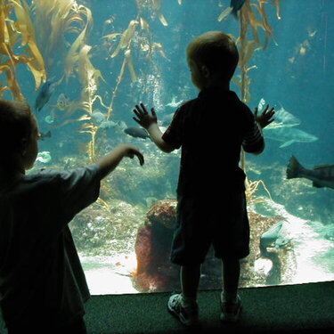 aquarium with grandsons