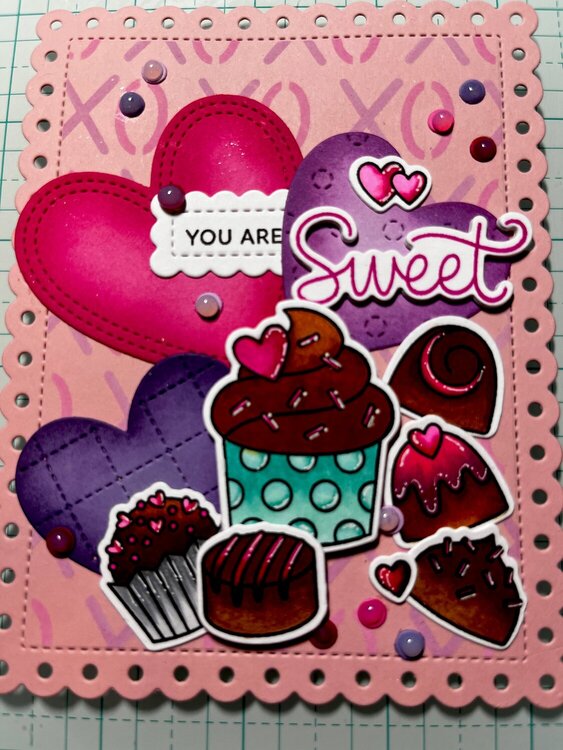 Pretty Pink Posh Valentines Day Card