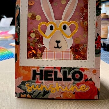 Bunny hello sunshine by Laura Graff