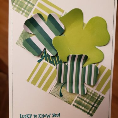 Shamrock good luck