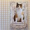 Card - Cat
