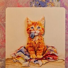 Cat Cards