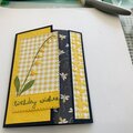 Firefly Wishes