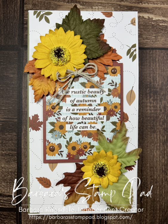 Fall 2024 Sweater Weather Folio Album Class Kit To Go