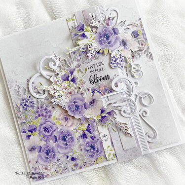 Purple Haze Cards & Layout