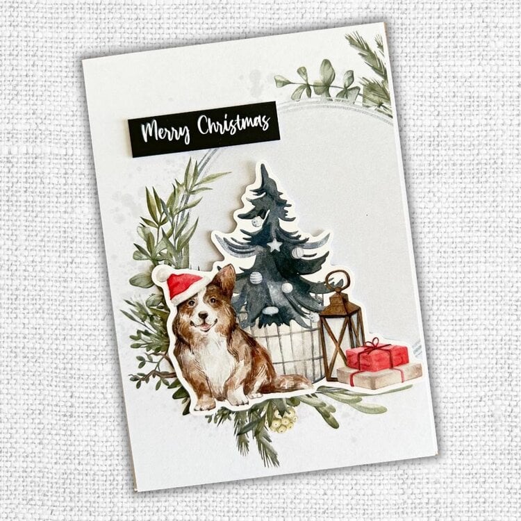 Winter Blooms &amp; Winter Gathering Cards 
