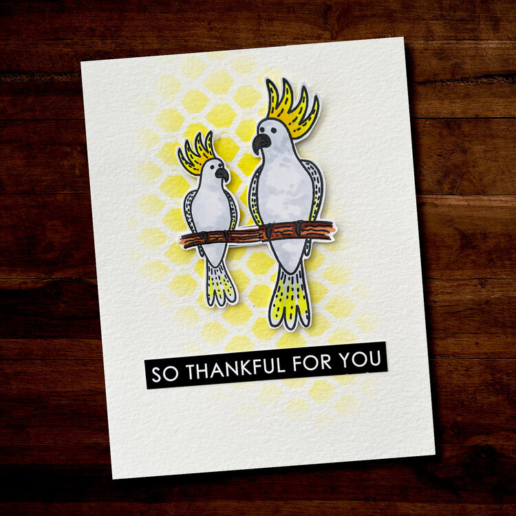 Cute Animal Cards with Stamps