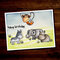 Cute Animal Cards with Stamps