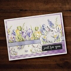 Spring Bunnies Cards