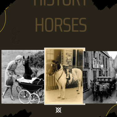 History horses