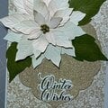 White Poinsettia 