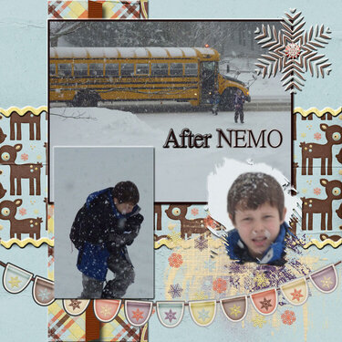 After NEMO