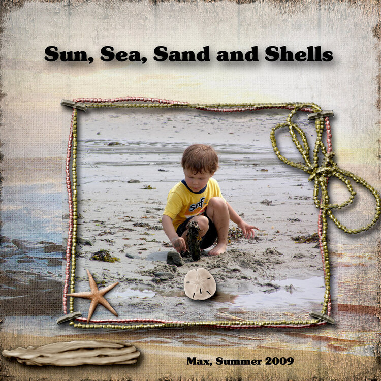 Sun, Sea, Sand and Shells