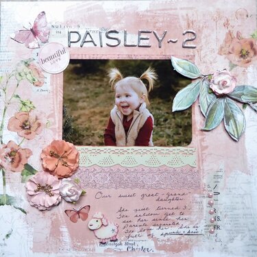 Paisley - 2