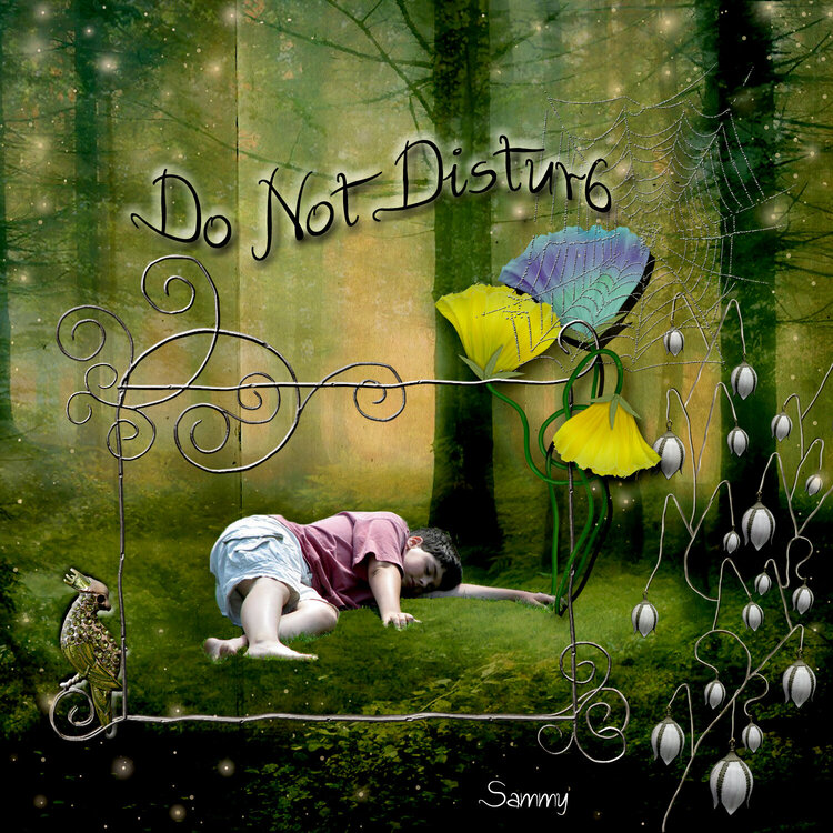 Do Not Disturb