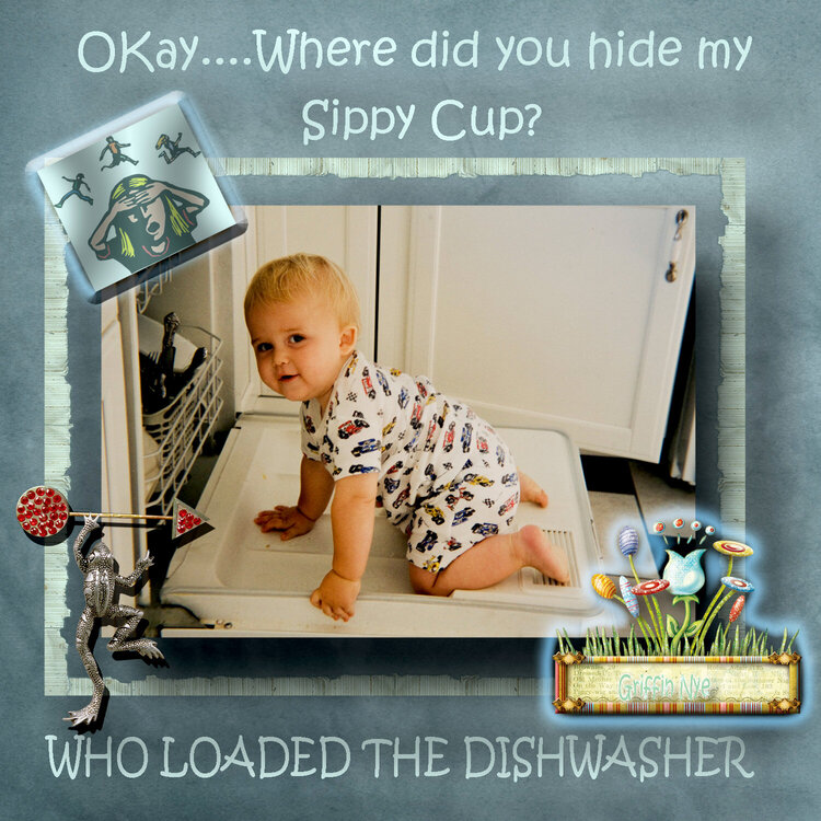 WHO LOADED THE DISHWASHER
