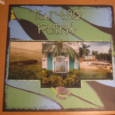 turtle point