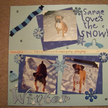 Sarge loves the Snow!