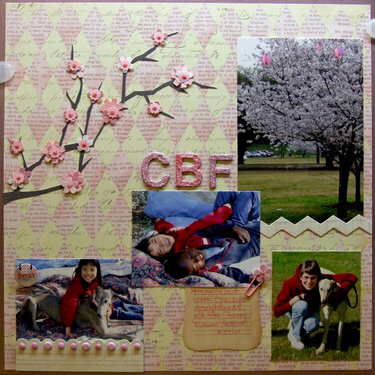 CBF (Cherry Blossom Festival)