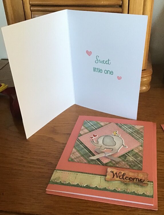 Welcome Sweet Little One Card Inside