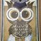 Graduation Owl Card