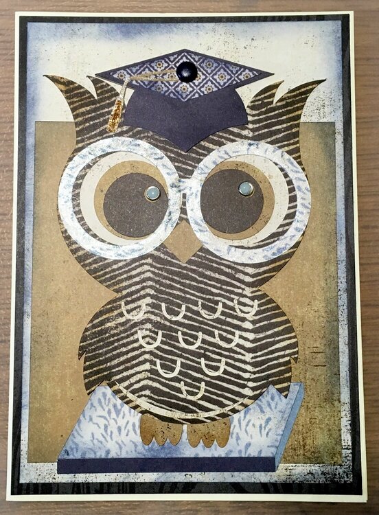 Graduation Owl Card