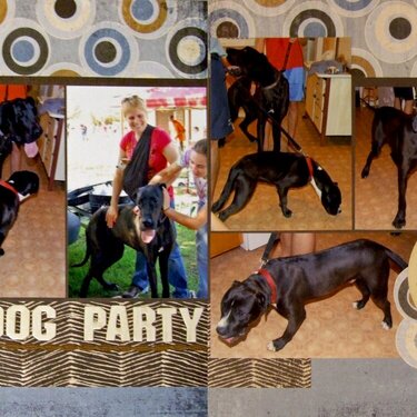 Dog Party