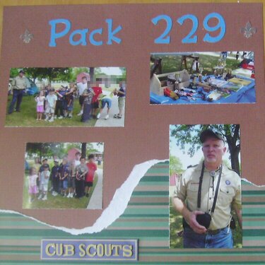 Pack 229