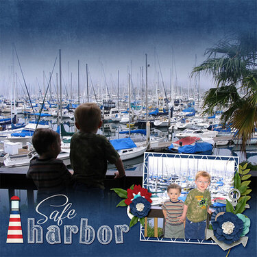 Safe Harbor